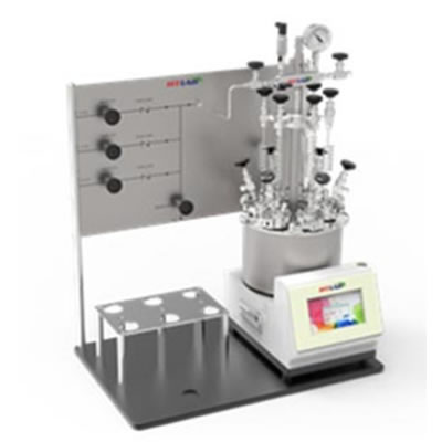 6位平行反應(yīng)釜